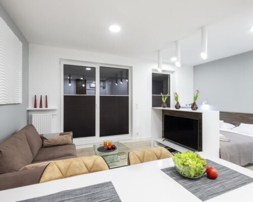 Stylowe mieszkanie typu open space z wygodną sofą, częścią jadalnianą i łóżkiem sypialnianym Nowoczesne studio z salonem, sypialnią i jadalnią w jednym wnętrzu